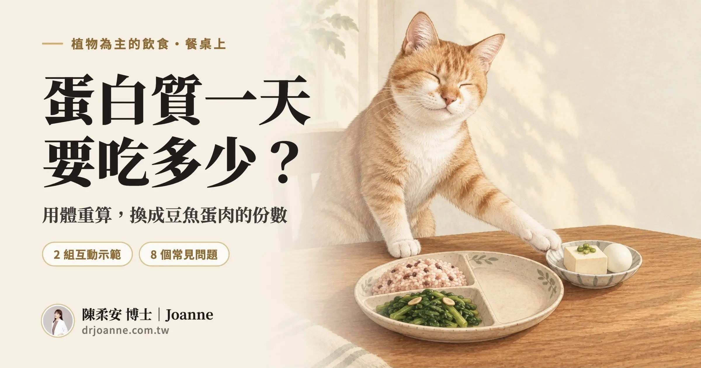 蛋白質一天要吃多少？用體重算，再換成豆魚蛋肉的份數。橘白貓將奬用前爪碰著一小碟傳統豆腐和水煮蛋，旁邊是裝著紅豆飯和青菜的分格餐盤。